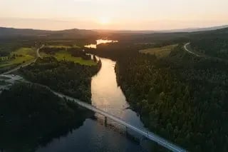 swedish-nature